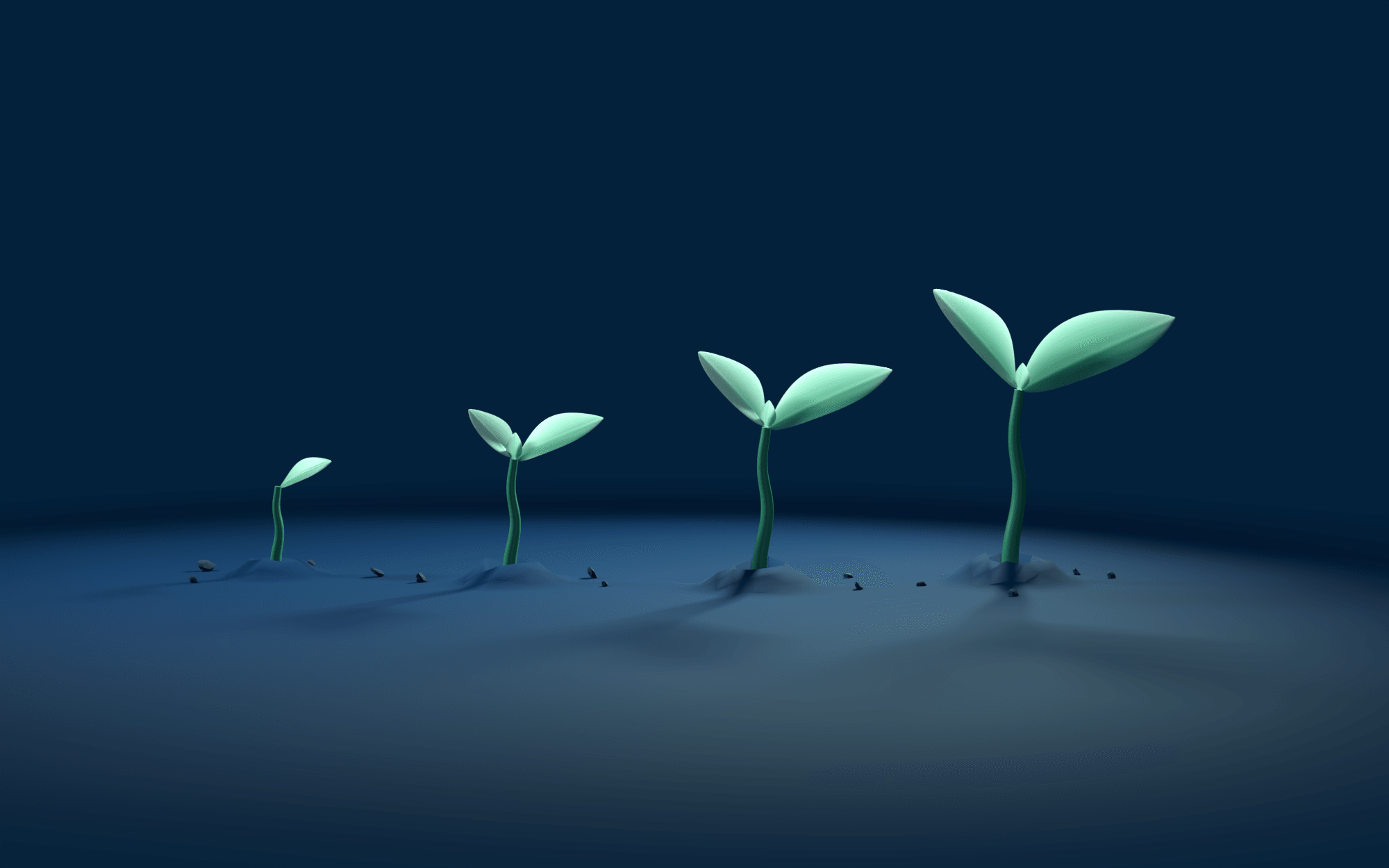 Four sprouts in a row, each one order older and taller than the last