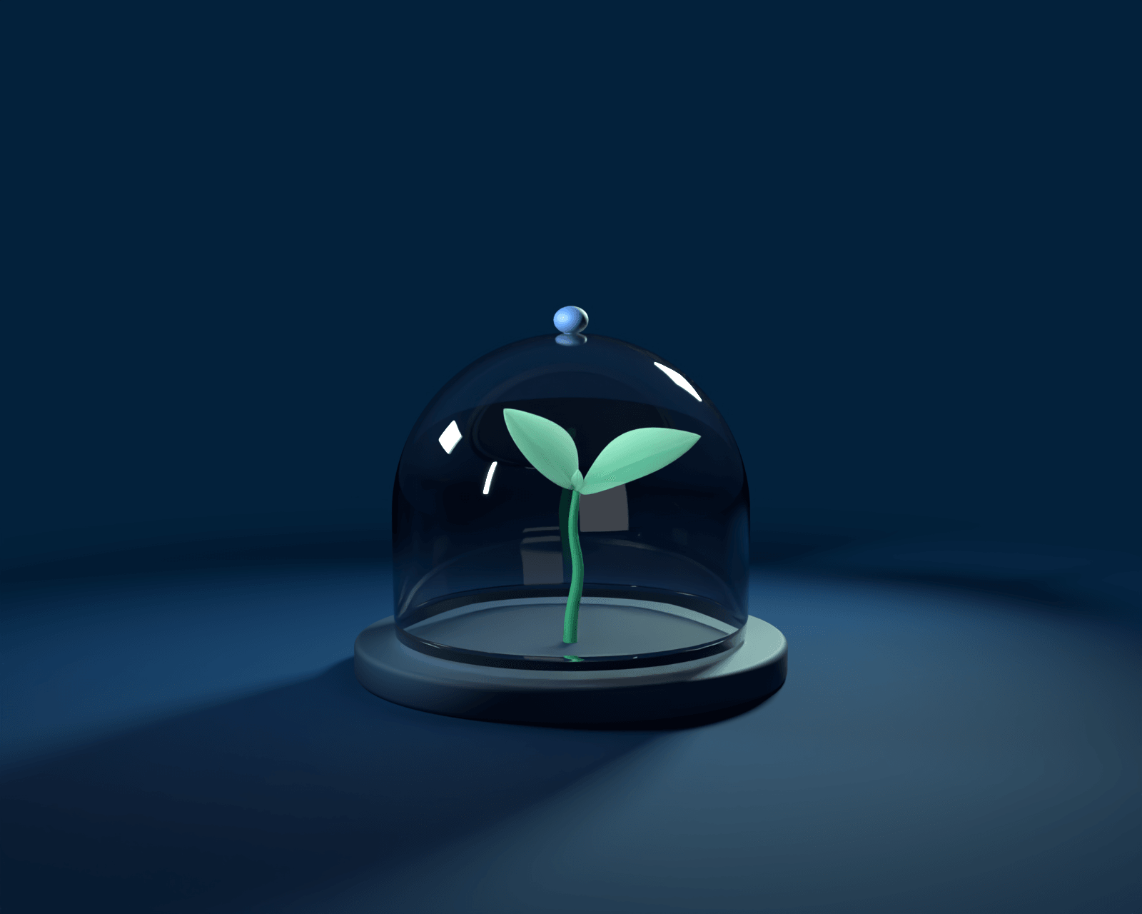 A sprout under a glass cloche on a navy clay base